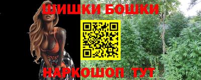 шишки Абинск